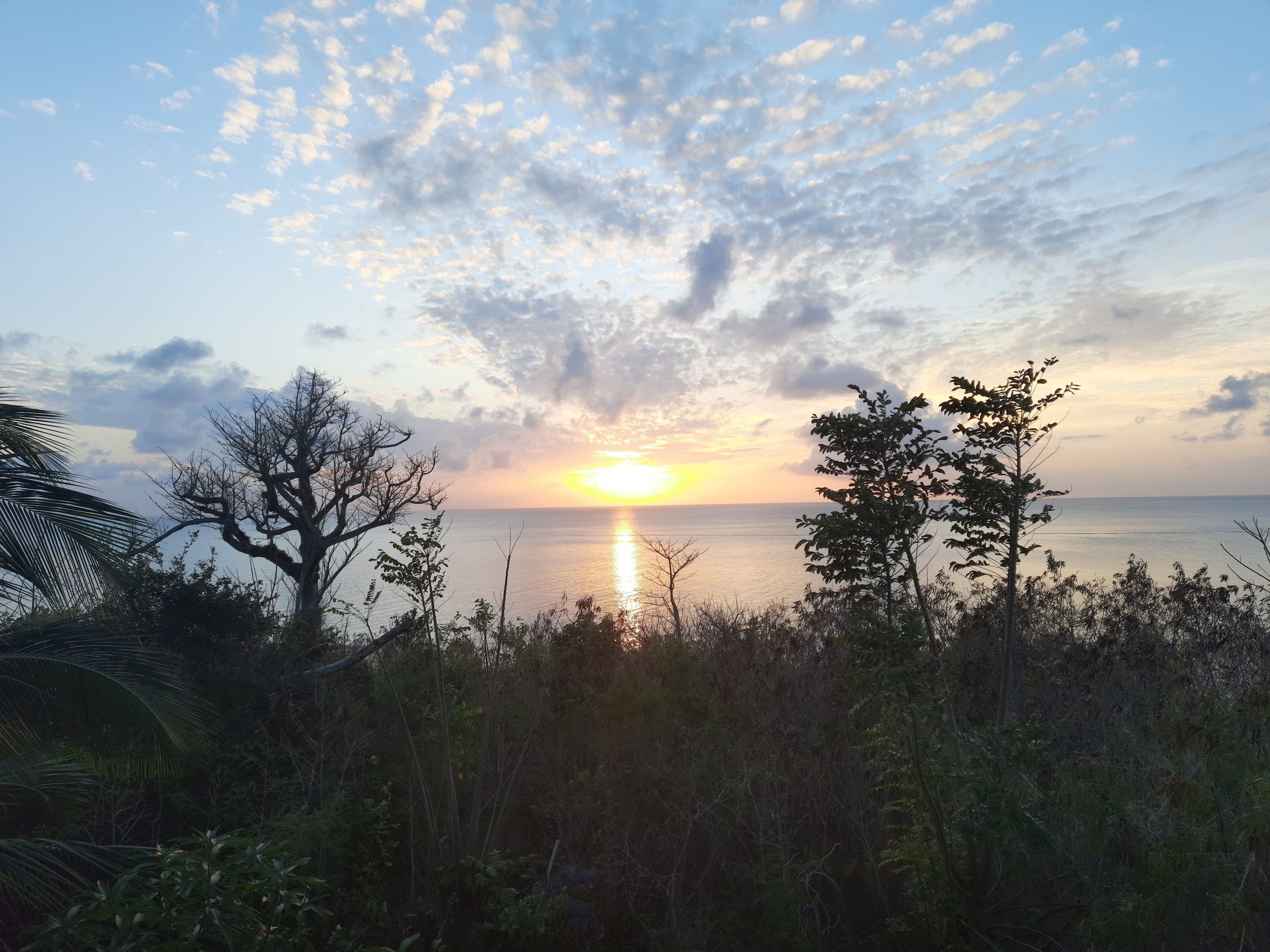 imgi_32_20230313_182422-scaled