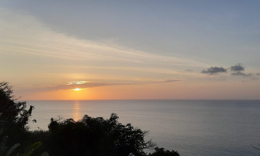 imgi_27_20230316_182345-scaled