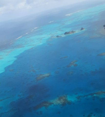 imgi_30_20210403_161623-scaled